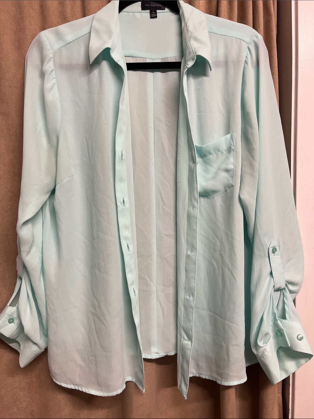 The Limited Mint Collared Button-Front Blouse